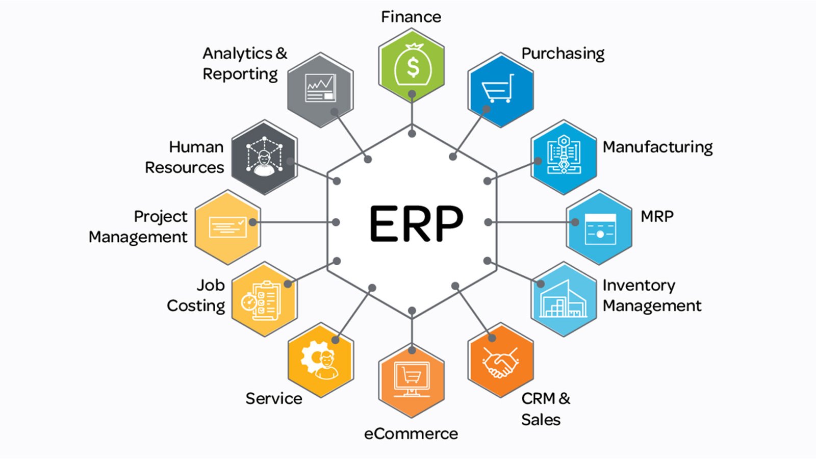 ERP & Business Management Software